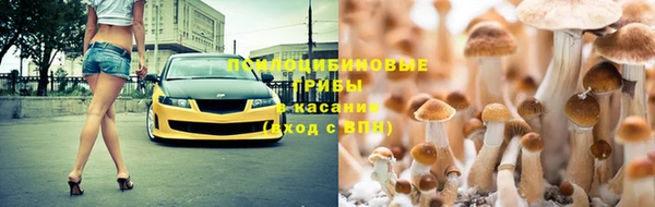 крисы Дмитриев