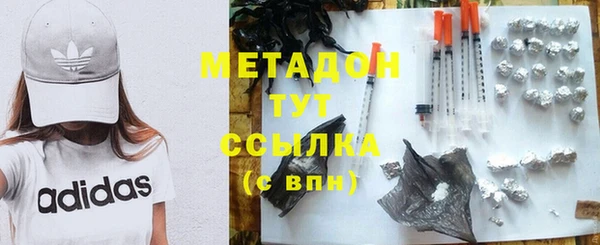 индика Гусиноозёрск