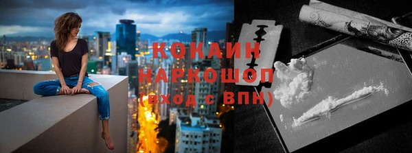 крисы Дмитриев
