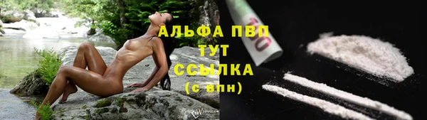 крисы Дмитриев