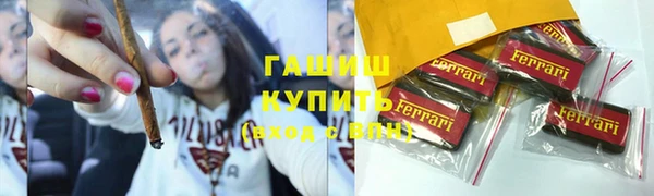 индика Гусиноозёрск