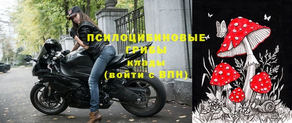 крисы Дмитриев