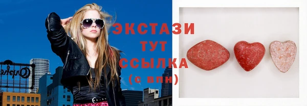 индика Гусиноозёрск