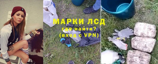 a pvp Дмитров